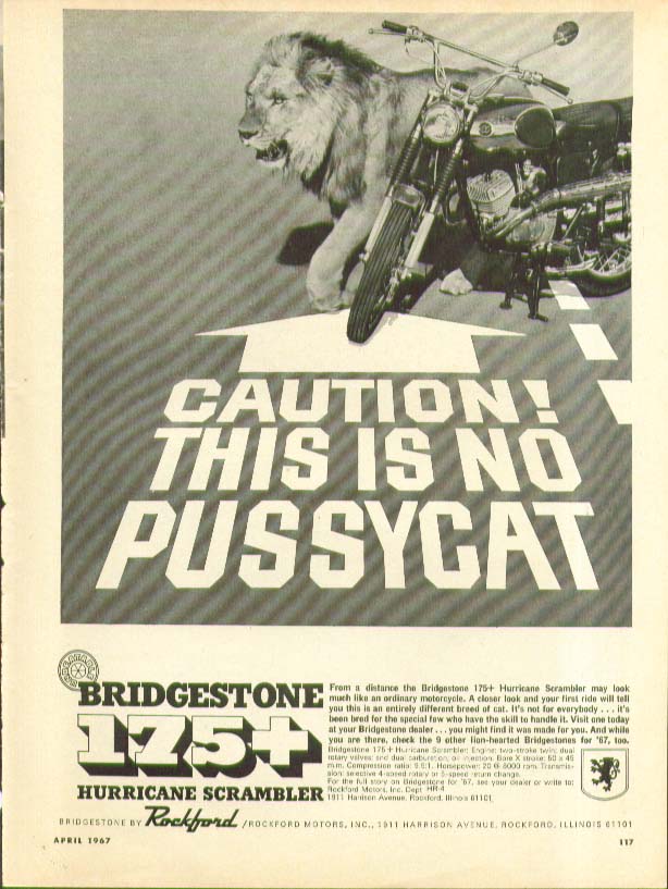 Image for Caution! No pussycat Bridgestone 175+ Hurrcane Scrambler motorcycle ad 1967