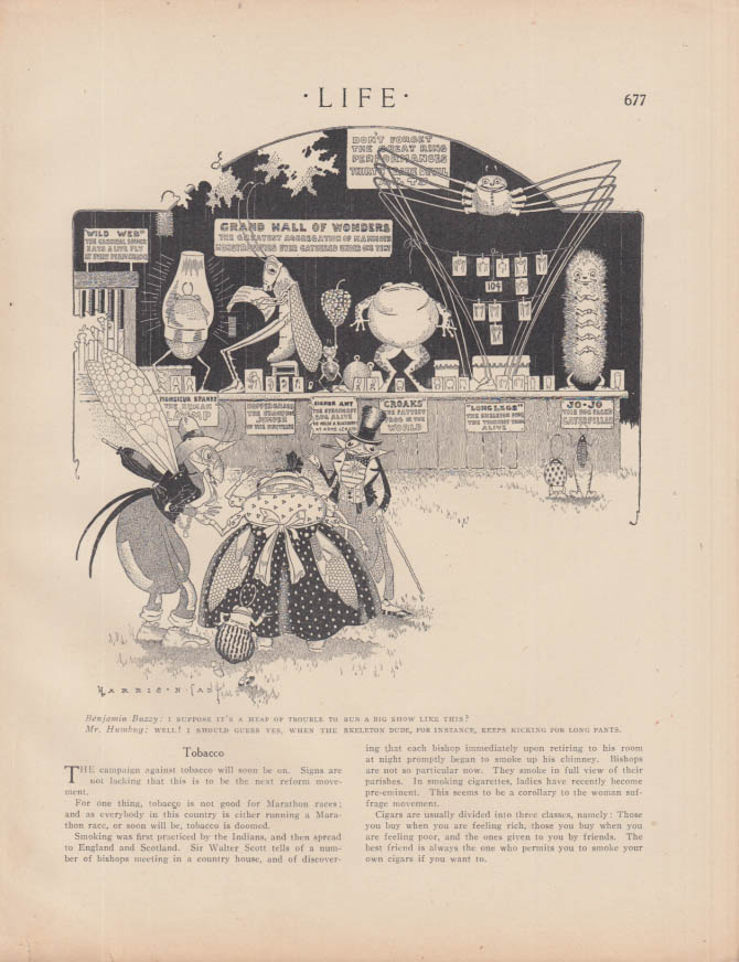 Image for Benjamin Buzzy & Mr Humbug at Grand Hall of Wonders by Harrison Cady page 1909