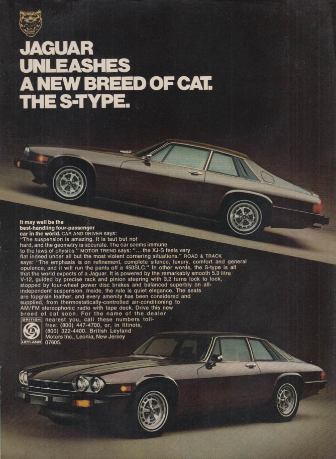 Image for A New Breed of Cat The Jaguar KJ S-Type ad 1976