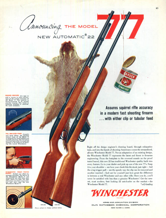 Image for Announcing the Model 77 Automatic 22 Squirrel Rifle: Winchester ad 1955